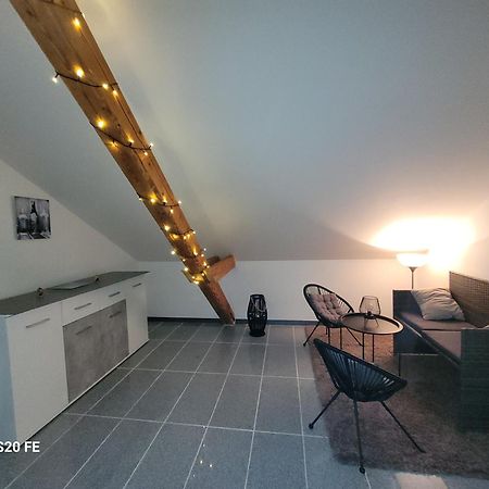 Penthouse N74 Linz 120 Qm Kids Welcome! المظهر الخارجي الصورة