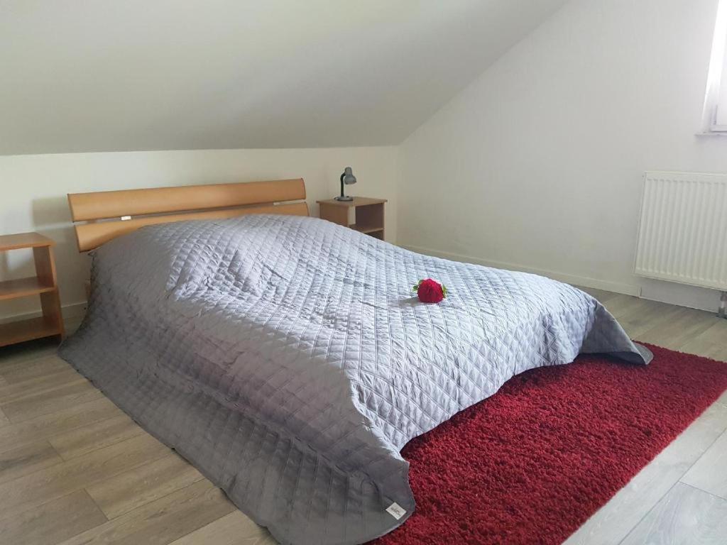 Penthouse N74 Linz 120 Qm Kids Welcome! المظهر الخارجي الصورة