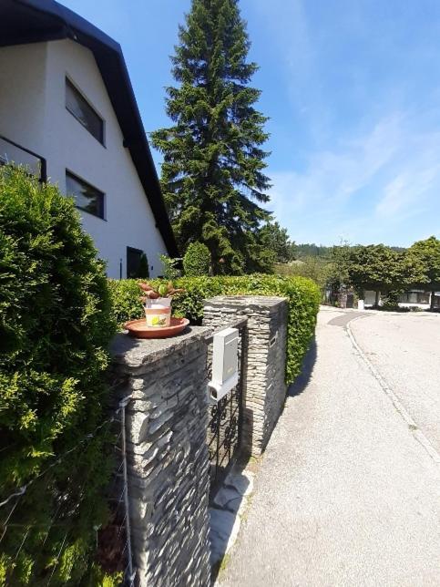 Penthouse N74 Linz 120 Qm Kids Welcome! المظهر الخارجي الصورة
