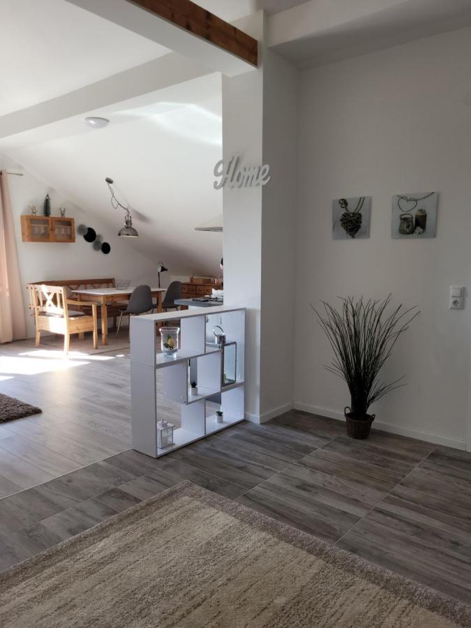 Penthouse N74 Linz 120 Qm Kids Welcome! المظهر الخارجي الصورة