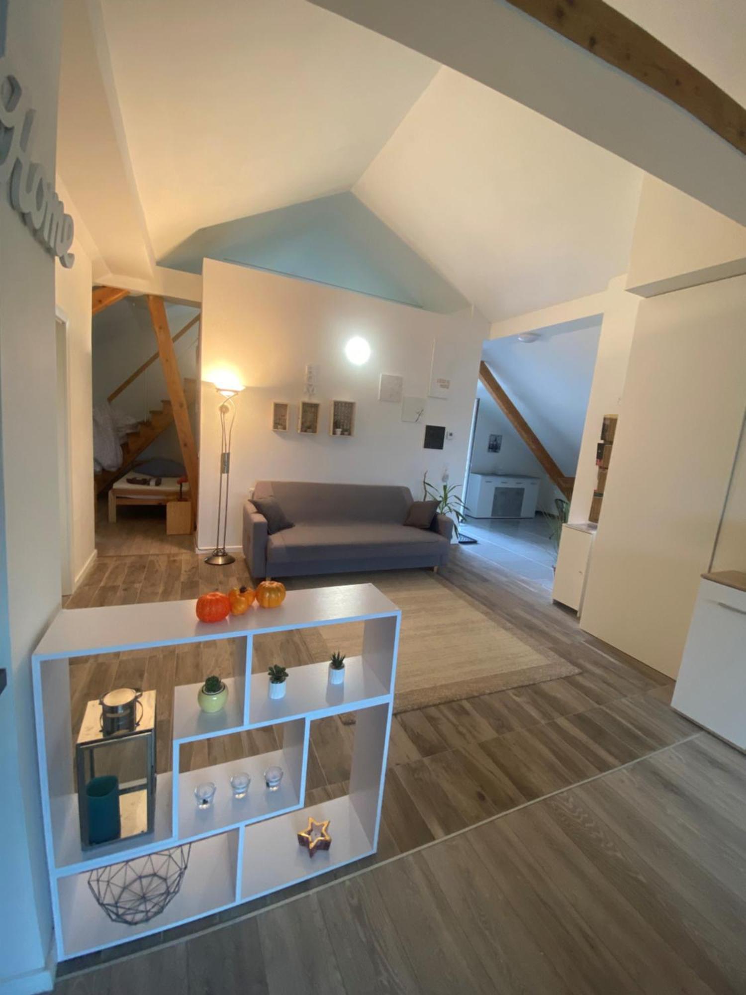 Penthouse N74 Linz 120 Qm Kids Welcome! المظهر الخارجي الصورة